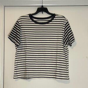 Blue Stripe Crop Tee